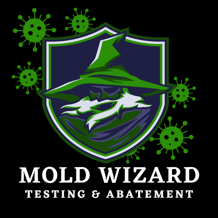 Mold-Wizard-Logo-2.4-×-2.4-in-1.png